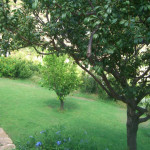 Casa Pirina